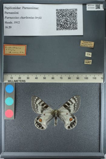 Media type: image;   Entomology 180483